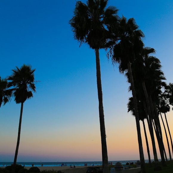 Meet The Posher. Jesse - Picture 3 of 4